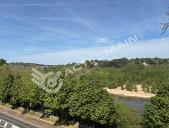 vu Loire