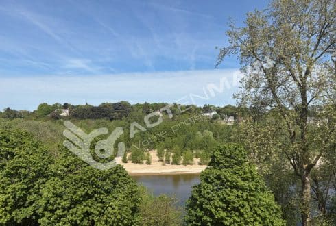 vu loire